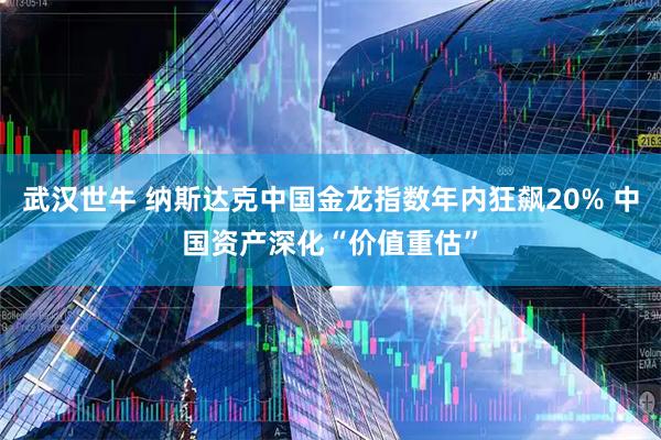 武汉世牛 纳斯达克中国金龙指数年内狂飙20% 中国资产深化“价值重估”