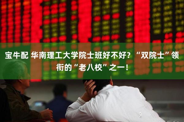 宝牛配 华南理工大学院士班好不好？“双院士”领衔的“老八校”之一！